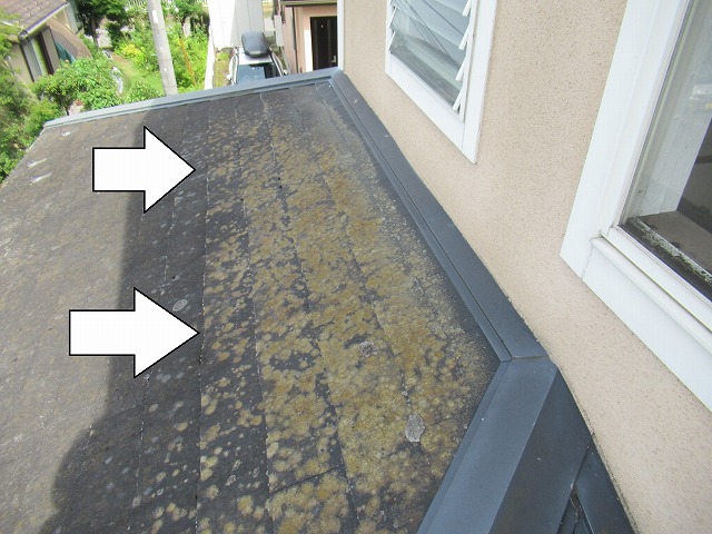 大月市で藻・コケの発生や棟板金のビス浮きを確認した屋根現場調査